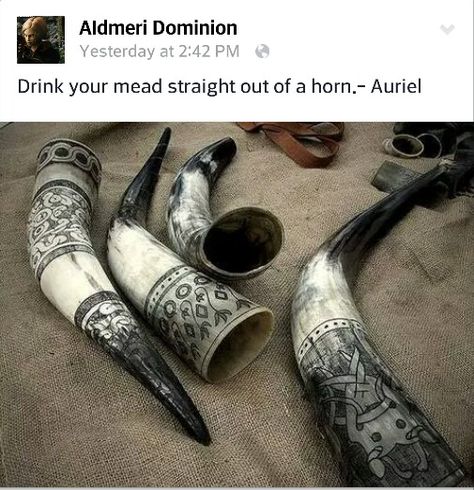 Mead horns Ale Horn, Viking Queen, Viking Horn, Viking Drinking Horn, Powder Horn, Viking Life, Viking Wedding, Nordic Vikings, Viking Culture