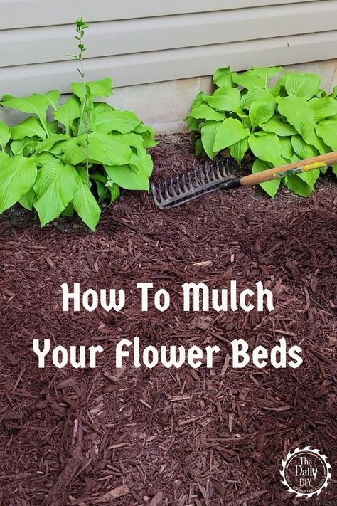 Step By Step How To Lay Down Mulch Raised Mound Flower Beds, Large Mulch Bed Around Tree, How To Add Mulch Flower Beds, How To Plant Flowers In Mulch, Mulch Bed Edging Ideas, Soil Prep For Flower Beds, Flower Beds With Mulch, Mulch Landscaping Ideas Around House, How To Mulch Landscaping