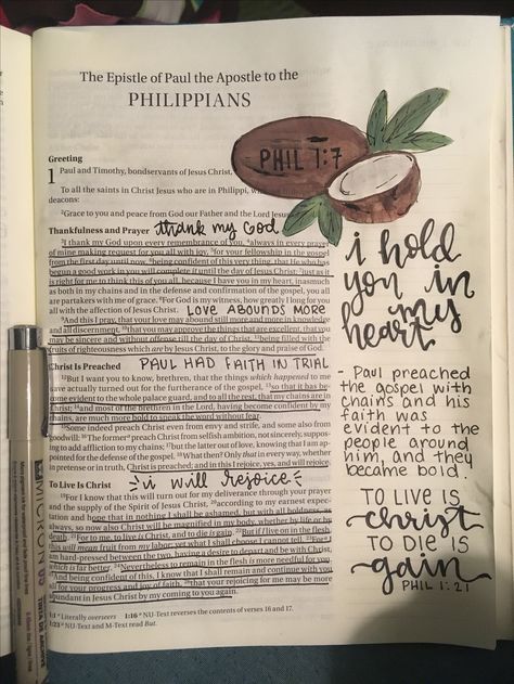 🐢Pinterest:hannahb37 Christy Miller, Studying Ideas, Bible Studying, Paul The Apostle, Forever Friends, King James Version, The Covenant, Friends Forever, Abba