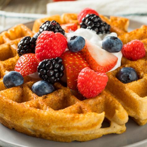 Vegan Greek Yogurt, Low Calorie Protein, Blueberry Tart, Belgian Waffle Maker, Protein Waffles, Gluten Free Waffles, Waffles Recipe, Waffle Cake, Kodiak Cakes