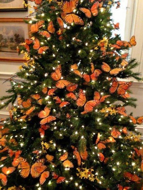 Lil has asked for a butterfly Christmas tree this year. Orange Christmas Tree, Painted Butterflies, Tree Wreaths, Amazing Christmas Trees, Floral Tree, Butterfly Tree, Tree Themes, Orange Christmas, Unique Christmas Trees