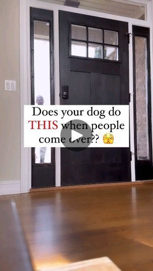 Best Bond, Puppy Training Tips, Train Your Dog, Training Your Puppy, Dog Obedience, Pet Training, Puppy Training, Dog Stuff, Training Your Dog