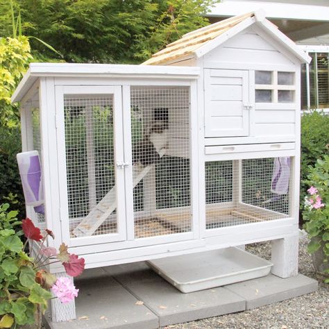 Mini Holland Lop - New rabbit hutch / rabbit hutch / bunny cage / rabbit cage / cottage style Mini Holland Lop, Tapsi Hapsi, Diy Bunny Cage, Rabbit Hutch Plans, Indoor Rabbit Cage, Diy Rabbit Hutch, Lop Bunnies, Outdoor Rabbit Hutch, Bunny Cage