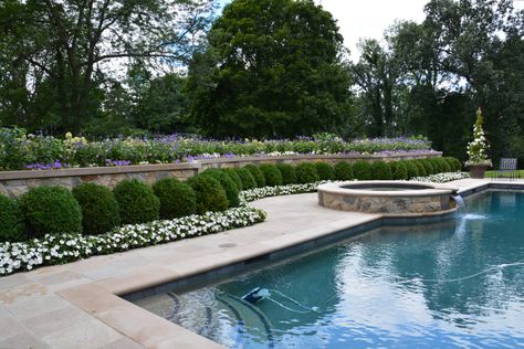 Classic Pool Landscaping, Traditional Pool Landscaping, Boxwood Around Pool, Pool Landscaping With Retaining Wall, Retaining Walls Around Pools, Southern Pool Landscaping, Boxwoods Around Pool, Hamptons Pool Landscaping, Texas Pool Landscaping