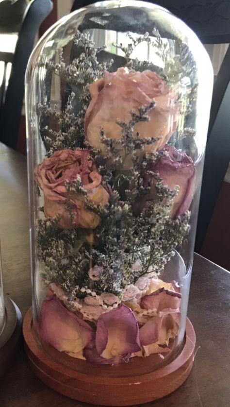 Rosas Secas Ideas, Office Oasis, Flower Terrarium, Preserve Flowers, Dried Flowers Diy, Glass Dome Display, Flower Boutique, Glass Display, Glass Projects