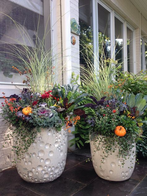 Nice and full! Fall Container Plants, Fall Flower Pots, Fall Pots, Front Door Planters, Planters Outdoor, Large Outdoor Planters, Door Planter, Fall Container Gardens, Porch Flowers