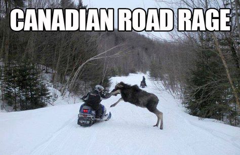 https://www.facebook.com/onlyincanada1867/photos/a.928339197351554.1073741828.928320254020115/1295140110671459/?type=3 Winter Funny Quotes, Canada Jokes, Canadian Memes, Canada Memes, Canadian Humor, Meanwhile In Canada, Winter Funny, Canadian Things, I Am Canadian