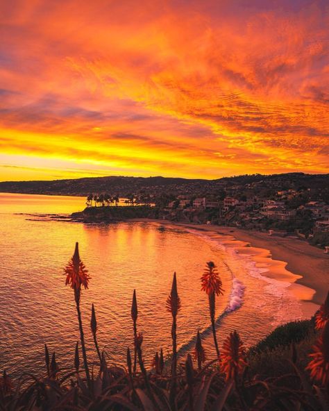 7,306 Likes, 28 Comments - Sunsets (@sunsetsaddict) on Instagram: “Flames galore lighting up Laguna Beach, California⠀ ⠀ @sunsetsaddicts 🌅⠀⠀ ⠀⠀ 📍California⠀ ⠀⠀…” Sunset Vacation, Laguna Beach California, Before Sunrise, California Dreaming, Laguna Beach, Lonely Planet, Out Of This World, Places Around The World, Beautiful Sunset