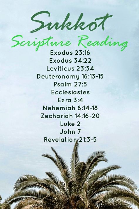 Scriptures to Read During Sukkot Scriptures To Read, Sukkot Crafts, Verses To Read, Sukkot Decorations, Sukkot Recipes, Biblical Feasts, Jewish Feasts, Feasts Of The Lord, Torah Study