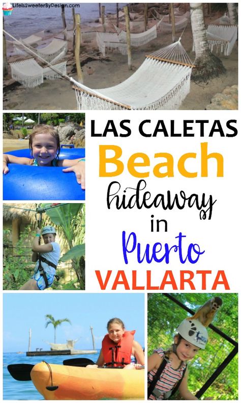 A Day at Las Caletas Beach Hideaway in Puerto Vallarta Hilton Puerto Vallarta Mexico, Best Hotels In Puerto Vallarta, Mexico Family Vacation, Mismaloya Puerto Vallarta, Le Kliff Puerto Vallarta, Las Caletas Puerto Vallarta, Cancun Tulum, Cruise 2023, Online Dating Profile