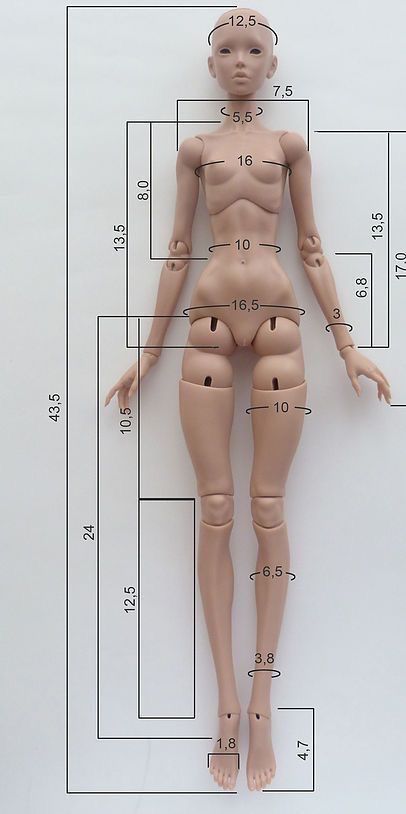 Bjd Doll Blueprint, Doll Ball Jointed, Ball Jointed Doll Reference Poses, Polymorph Plastic Ideas, Ball Jointed Dolls Aesthetic, Doll Body Reference, Ball Jointed Dolls Tutorial, Bjd Reference, Doll Concept Art