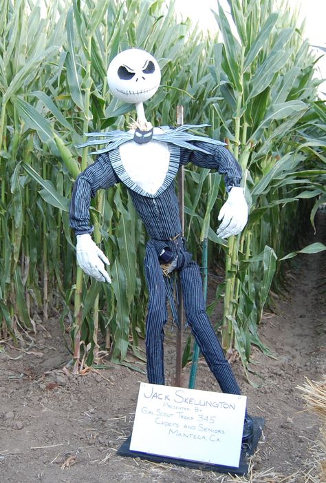 "Nightmare Before Christmas", Jack Skellington scarecrow Nightmare Before Christmas Scarecrow, Jack Skellington Scarecrow, Disguise A Turkey Project Ideas, Scarecrow Competition, Haunted Swamp, Scarecrow Diy, Disguise A Turkey Project, Scarecrow Contest, Trail Ideas