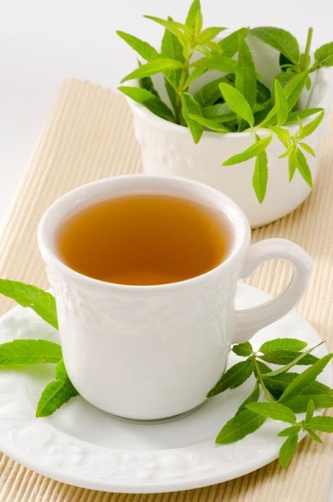 How to Use Blue Vervain Lemon Verbena Tea, Tea For Colds, Pregnancy Tea, Lemon Benefits, Dried Lemon, Herb Recipes, Healthy Teas, Herbs For Health, Cold Home Remedies