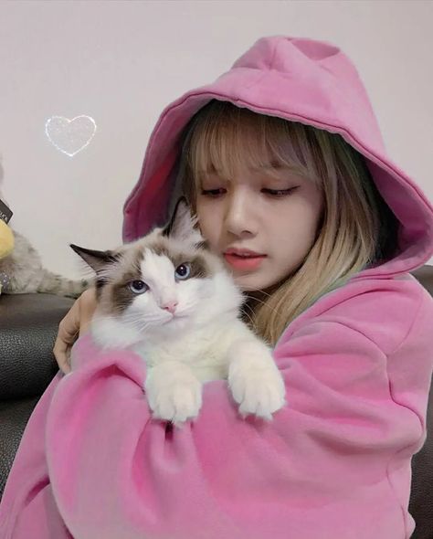 Lisa Aesthetic Icon, Lisa Blackpink Aesthetic, Pink Heart Emoji, Lisa Aesthetic, Nothing To Say, Blackpink Aesthetic, Lisa Blackpink Wallpaper, Lalisa Manobal, Iconic Photos