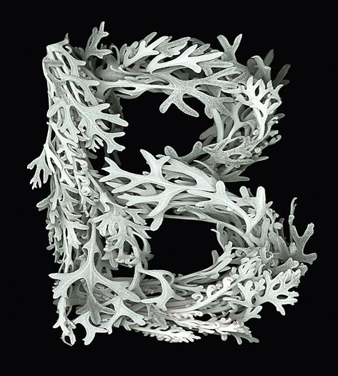 “Detail shots from a larger project in which words relating to life, growth and the creative process are spelled out using letters constructed from pl... Plant Letters, Hand Typography, Nature Letters, 3d Type, Arts Magazine, Photoshop Projects, Communication Art, Publication Design, The Creative Process