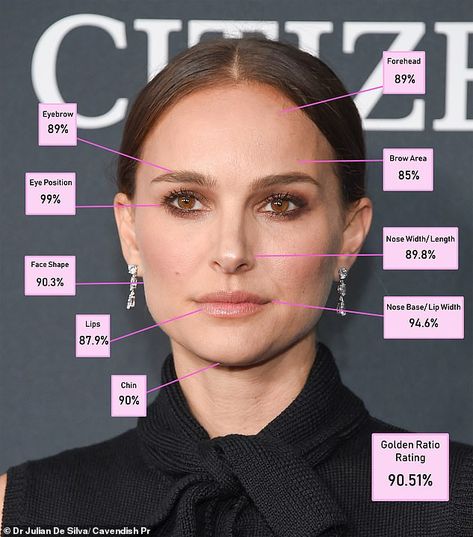 Surgeon using 'Golden Ratio' says Bella Hadid most beautiful woman Bella Hadid Nose, Face Proportions, Ariana Grande Images, Full Eyebrows, Nose Shapes, Brow Shaping, Golden Ratio, Eyebrow Shaping, Amber Heard