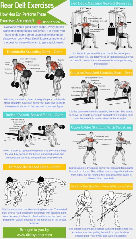 Rear Delt Exercises for muscle building. Do these exercises at home or gym.  #bodybuilding  #musclebuilding  #exercise  #muscle  #tikkaykhan