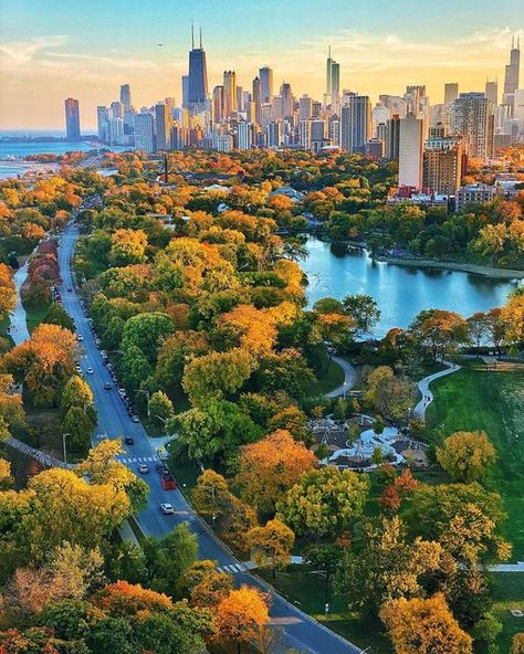 John O'Neill on Instagram: "Autumn Lights Up Lincoln Park. #lincolnpark #linconparkchicago #artofchi #igerschicago #chicago #likechicago #chicity_shots #lifeofchicago #chicagoskyline #ig_chicago #insta_chicago #thisischicago #chicagohome #eyeinthechi #unlimitedchicago #chicago_citylife #flippinchi #citybestpics #igscities #chi.shooters #ilove_chicago #igcities #cityviews #shotsofchicago #cityscapes_bl #citykillerz #chicagocityworld #chicago.explore #illgrammers #chicagoarchitecture" Chicago Lincoln Park, Overgrown City, Chicago Parks, Superhero City, Chicago Fall, Chicago Lakefront, Chicago Lake, Lincoln Park Chicago, Chicago Park