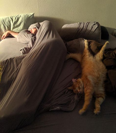 Everybody's Got These Great Pictures Of Their People Sleeping With Their Pets And I'm Over Here Stuck With This Mess Cat Funnies, Boyfriend Sleeping, Foster Kittens, Girl Sleeping, Cat Door, People Sleeping, Kids Sleep, Take A Nap, Cat Nap