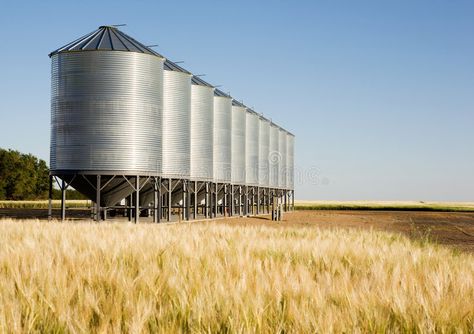 Flour Mill Machine, Grain Bins, Sports Food, Wheat Field, Wheat Fields, Maize, Depth Of Field, Facade Design, Nature Images