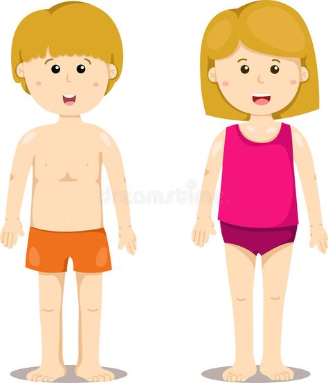 Illustration of boy and girl standing royalty free illustration Human Clipart, Body Clipart, Cartoon Body, Boy And Girl Cartoon, Vector People, Clipart Free, Alphabet Flashcards, Girl Illustration, English Writing Skills