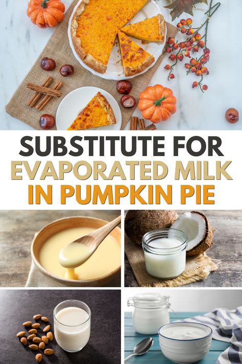 You can whip up a delicious pumpkin pie without evaporated milk! Check out the best substitute for evaporated milk in pumpkin pie here! #evaporatedmilksubstitute #substitute #substituteforevaporatedmilkinpumpkinpie #bestevaporatedmilksubstitute Pumpkin Pie No Evaporated Milk, Replacement For Evaporated Milk, Substitute For Evaporated Milk In Pumpkin Pie, Diy Evaporated Milk, How To Make Evaporated Milk, Pumpkin Recipes Without Eggs, Vegan Evaporated Milk, Pumpkin Pie Recipe No Evaporated Milk, Pumpkin Pie Recipe Without Evaporated