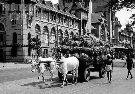 Madras to me signifies the old British architecture…reminiscences of the past and beauty of our land. The Napier Bridge, Eliot's Beach Madras City, Bullock Cart, British Architecture, Indian History, Signage Design, Fishing Villages, South India, Old City, India Travel