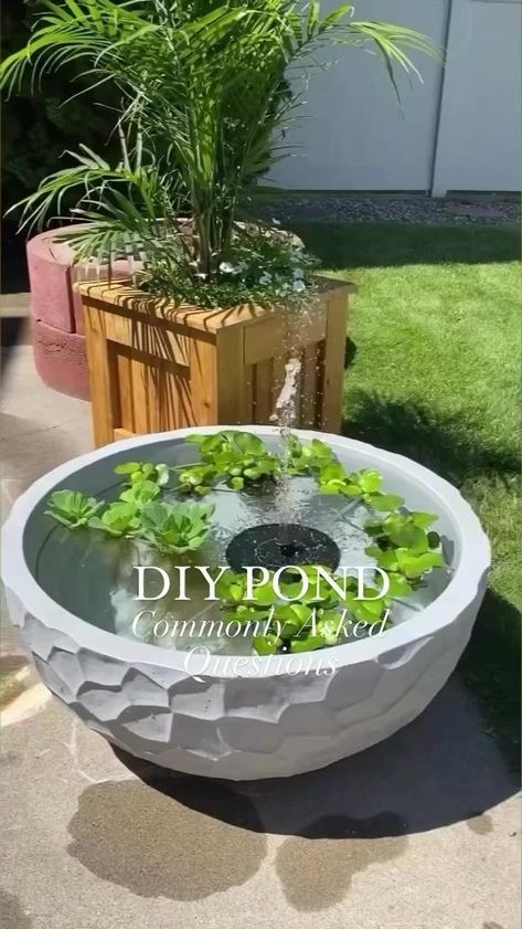 DIY Patio Pond: Most commonly asked questions, answered! 💦🌿 Follow Once Upon a Bungalow for more Home & DIY! 🛠️🏡#diy #patio #patiopond #pond #pondlife #patiodecor #patiodesign #deck #deckdesign #outdoordecor #patioseason #patiostyle #diyprojects #diyproject #easydiy #patiogarden #garden #gardening #gardeninspiration #gardenlove #gardendecor #gardenideas #patiogarden | Once Upon a Bungalow | The Bird And The Bee · I'm Into Something Good Diy Patio Pond, Diy Pond Fountain, Patio Water Fountain, Patio Pond, Diy Water Fountain, Solar Water Fountain, Diy Pond, Diy Garden Fountains, Diy Fountain