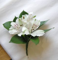 White alstroemeria corsage with ruscus leaves.  Purvian Lilies are available in pinks, lavender, purple, yellow, peach, white and deep purple (as well as variegated colors).  They are a long lasting flowers that is great for bouquets, centerpieces, corsages and boutonnieres. Alstromeria Wedding Bouquet, Alstroemeria Corsage, Alstromeria Wedding, Contemporary Wedding Flowers, White Alstroemeria, Corsage White, Flowers At Wedding, Fairy Lights Decor, Peruvian Lilies