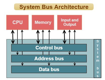 System Bus Architecture #System Bus #Architecture of System bus Gcse Computer Science, Networking Basics, Computer Architecture, Writing Test, System Architecture, Reading Data, Dissertation Writing, Computer Skills, Online Tutoring