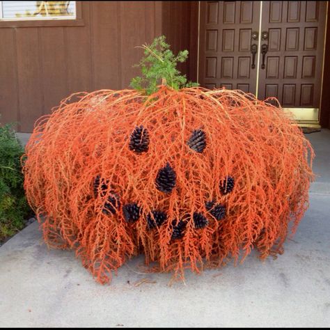 Tumbleweed Jack-o-lantern!m This is so cute, I am sure there is no tumble weed to be found in Calgary to do this... LOL Holiday Crafts Halloween, Flower Installation, Ball Decorations, Halloween Deco, Nature Crafts, Fall Fun, Diy Crafts For Kids, Fall Crafts, Holidays And Events