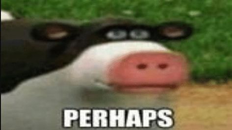 reaction image from barnyard movie The Barnyard Memes, Barnyard Movie, Reaction Image, The Barnyard, Hey You, Animal Games, Really Funny Pictures, Really Funny, Fun Facts