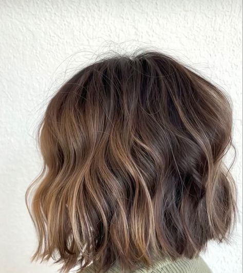 Light Brown Balyage Short Hair, Brown Bob Curtain Bangs, Short Cool Brown Hair, Fall Balyage Short Hair Brunettes, Chin Length Brown Hair With Highlights, Short Brown Hair With Dimension, Brown Balayage Hair Short, Lived In Bob, Bob Highlights Brunette