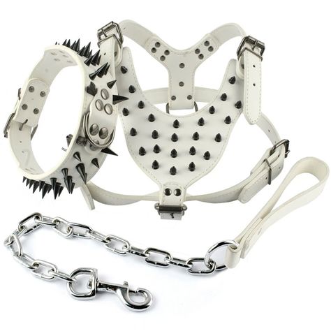 Berry Genuine Leather Black Spikes Studded Medium Dog White Collar & Leash & Harness 3 Pcs Set for Pitbull Boxer Neck for 17-20" Puppies Stuff, Pit Puppy, Pitbull Mastiff, Dogs Supplies, Leather Dog Harness, White Dog Collar, Pitbull Boxer, Spiked Dog Collar, Paracord Dog Collars