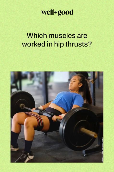 hip thrusts benefits Lower Back Injury, Barbell Hip Thrust, Hip Thrusts, Glute Activation, Gluteus Medius, Muscles In Your Body, Glute Bridge, Hip Thrust, Strong Muscles