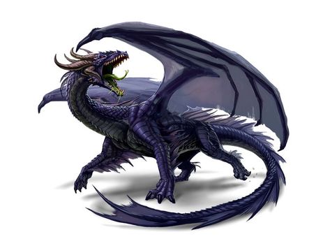 Male Adult Black Dragon - Ravirex - Pathfinder 2E PFRPG PFSRD DND D&D 3.5 4E 5E 5th ed d20 fantasy Black Dragon Dnd, Pathfinder Monsters, Dragon Dnd, Pathfinder 2e, Mythological Animals, Dragon Artwork Fantasy, Dnd Dragons, Monster Characters, Dragon Illustration