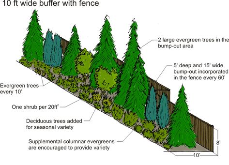 Large Yard Privacy Ideas, Natural Areas Landscaping, Privacy Tree Landscaping, Backyard Evergreen Trees, Berm Privacy Landscaping, Evergreen Landscape Backyards, Privacy Garden Ideas Backyards, Pine Tree Backyard Landscaping, Privacy Berm Landscaping