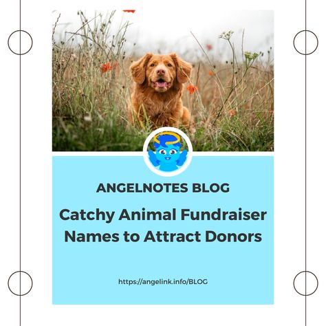 Have an animal that you want to raise money for? AngeLink can help. Here's a article about some catchy animal fundraiser names to attract donors! click or tap the posts to read more! #AngeLink #AngeLove #BlogPost Animal Fundraiser, Animal Shelter Fundraiser, Animal Rescue Fundraising, Dog Fundraiser, Foster Animals, Different Types Of Animals, Pet Organization, Fundraising Event, Types Of Animals