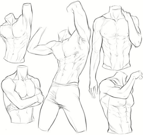 Male Flexing Pose Reference, Guy Crouching, Male Full Body Reference Drawing, Male Hand Reference, Muscle Man Drawing, Abs Drawing Reference, Male Anatomy Reference Drawing, Abs Sketch, Drawing Abs