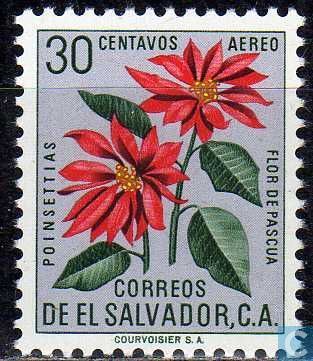 Postage Stamps - El Salvador - Christmas Flowers El Salvador Postage Stamp, El Salvador Aesthetic Art, Salvadoran Aesthetic, El Salvador Painting, El Salvador Tattoo Ideas, Salvadorian Art, Salvadorean Culture, El Salvador Tattoo, Salvadorian Culture