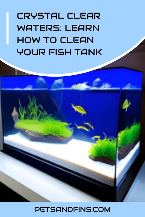 Crystal Clear Waters: Learn How to Clean Your Fish Tank https://petsandfins.com/how-to-clean-your-fish-tank Clean Fish Tank, Glofish Tank, 10 Gallon Fish Tank, Large Fish Tanks, Plastic Fish Tank, Aquatic Pets, Fish Tank Cleaning, Cleaning Fish, Diy Aquarium