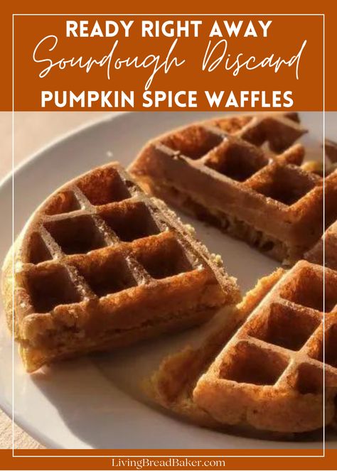 Get out your discard and have these ready in 30 minutes or less! Easy Overnight Sourdough, Sourdough Discard Pumpkin, Sourdough Waffle Recipe, Sourdough Pancakes Recipe, Sourdough Waffles, Overnight Sourdough, Pumpkin Spice Waffles, Berry Scones, Apple Fritter Bread