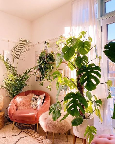 Urban Jungle Living Room, Jungle Living Room, Ceiling Lights Bathroom, Small Condo Decorating, Room With Natural Light, Lights Bathroom, Cozy Homes, Colorful Apartment, Living Room Plants