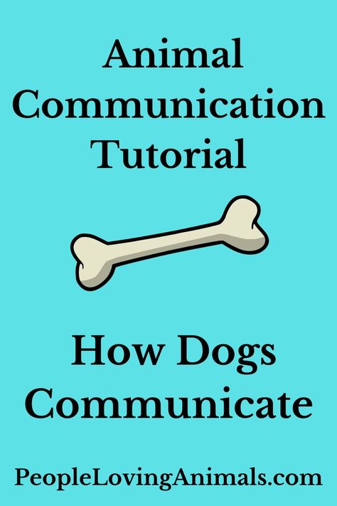 Animal Communication How Dogs Communicate Dog Behavior Meaning, Dog Communication, Kitten Training, Dog Body Language, Animal Communication, Dog Behavior Training, Dog Behavior Problems, Training Puppy, Behavior Problems