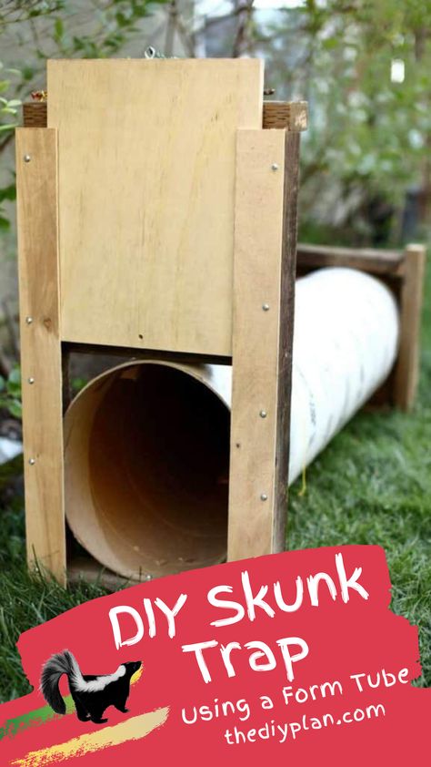 An encounter with an angry or frightened skunk can be memorable, and not in a good way. Skunk’s smelly spray can be detected by humans up to a mile away. Recently we spotted few skunks in our backyard and I was concerned that they would spray our kids one of these days. So I decided to build a skunk trap so that I could relocate them, away from our house. I used scrap wood was laying around in my garage. #diy #freeplans #projects #homedecor #garden #woodproject #doityourself #homeimprovement Skunk Trap, Dog Skunk, Skunk Spray, Thrift Store Furniture Makeover Diy, Garage Diy, Animal Traps, Top Diy, Diy Furniture Bedroom, Amazing Diy