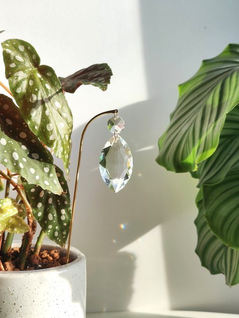 Crystal Plant Hanger, Suncatcher Room, Plant Suncatcher, Hanging Suncatchers, Suncatcher Crystal, Plant Stakes, Brass Glass, Prisms, Plant Mom