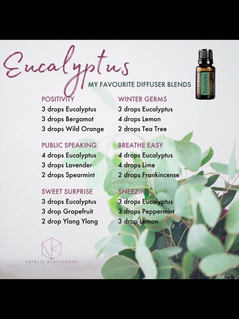 Essential Oil Remedies, Essential Oil For Hair, Eucalyptus Radiata, Helichrysum Essential Oil, Doterra Diffuser Blends, Essential Oils For Pain, Doterra Essential Oils Recipes, Essential Oil Diffuser Blends Recipes, Oil Remedies