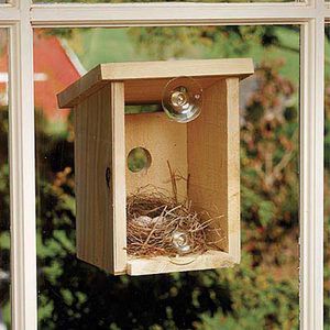 Window View Bird Nest Box Window Birdhouse, Dining Room Windows, Bird Box, Diy Birds, Bird Crafts, Bird Boxes, Diy Window, Nesting Boxes, Window View