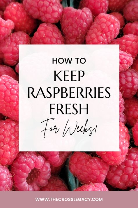 Best Way To Store Berries, How To Use Fresh Raspberries, Keeping Berries Fresh Longer, How To Keep Raspberries Fresh Longer, How To Preserve Raspberries, Cleaning Fresh Fruit, How To Freeze Raspberries, Best Way To Store Raspberries, Raspberry Storage In Fridge