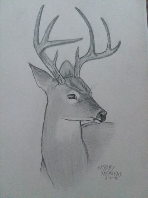 Whitetail Deer Sketch, Deer Head Sketch, Deer Sketch Simple, Deer Drawing Simple, Buck Drawing, Deer Drawing Easy, Crteži Olovkom, Deer Drawings, Deer Craft